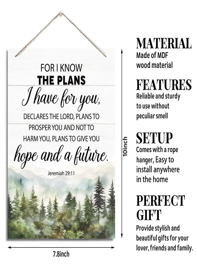 XQLSR Christian Decor, Rustic Hanging Wood Plaque Sign, Wooden Bible Verse Wall Art, Farmhouse Home Wall Decor, Religious Artwork, Jeremiah 29:11 Sign - For I Know The Plans I Have for You - Image 2